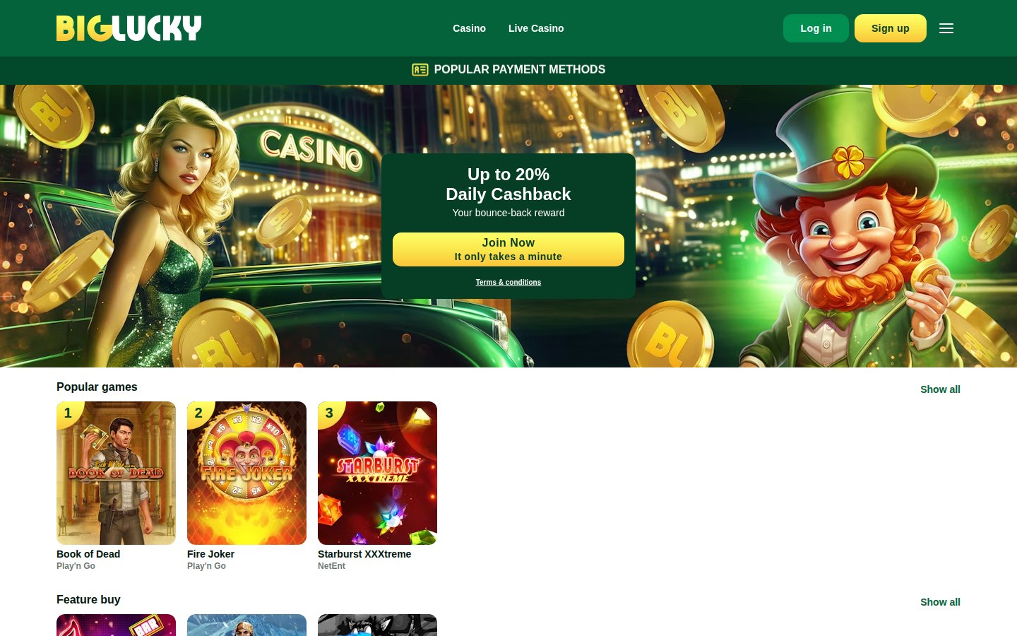 Big Lucky Casino desktop preview