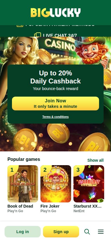 Big Lucky Casino mobile preview